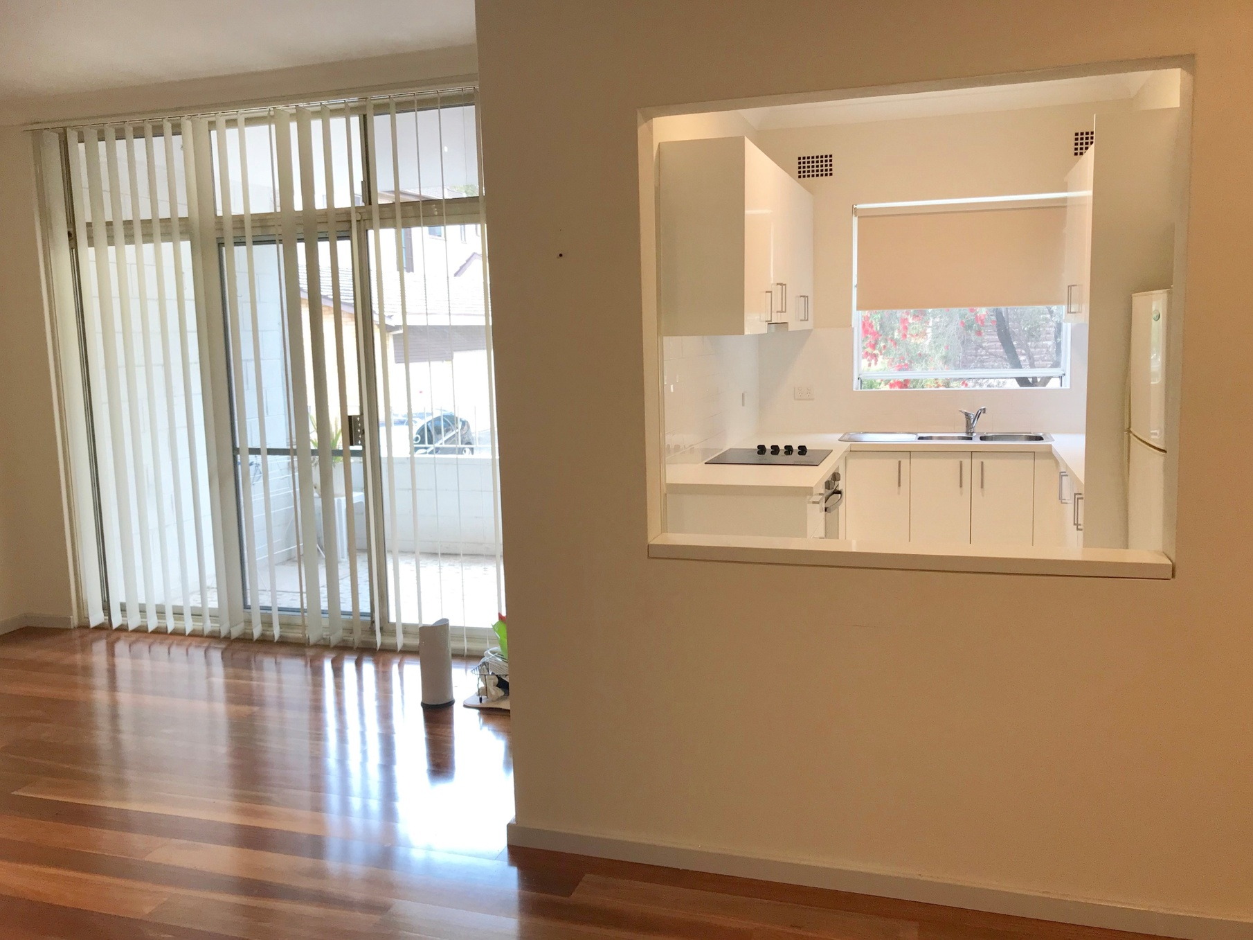 5/33 Lancelot Street, Allawah Leased by Gavan Property - image 1