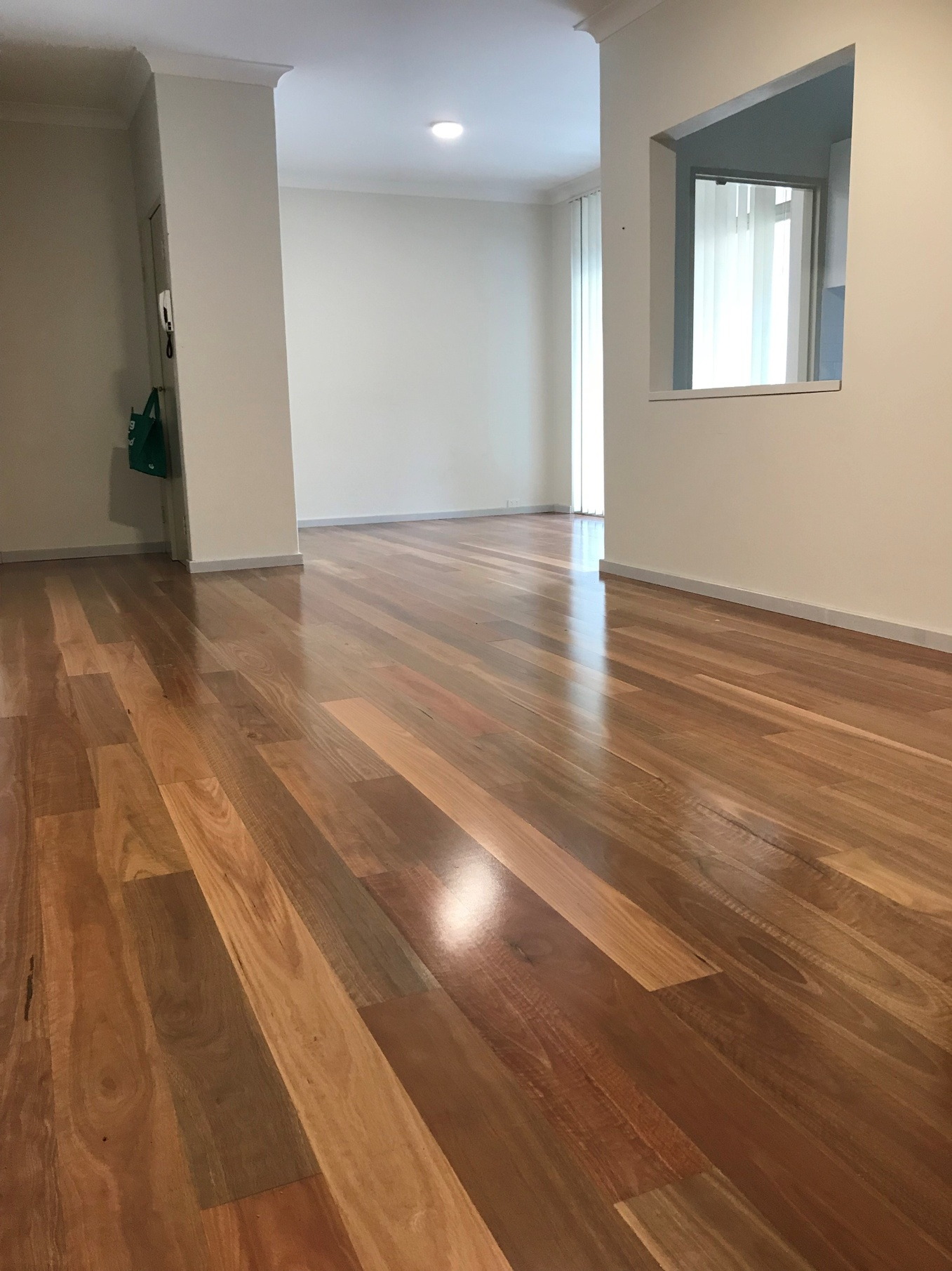 5/33 Lancelot Street, Allawah Leased by Gavan Property - image 1