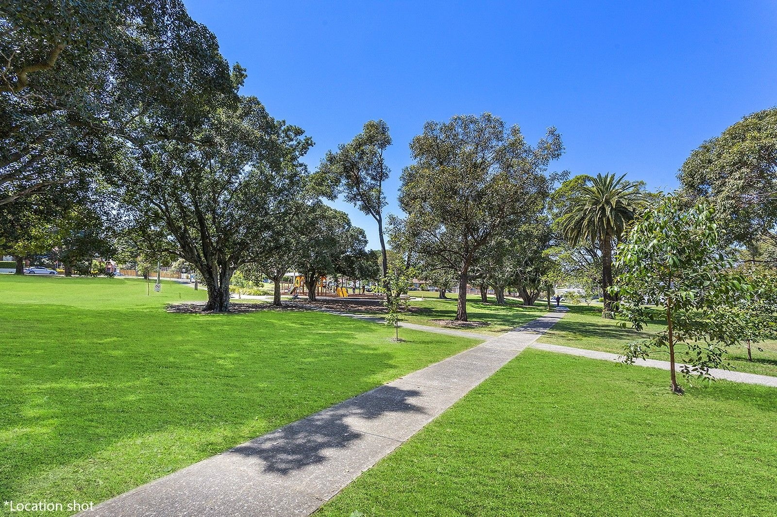 7/28 Monomeeth Street, Bexley Sold by Gavan Property - image 1