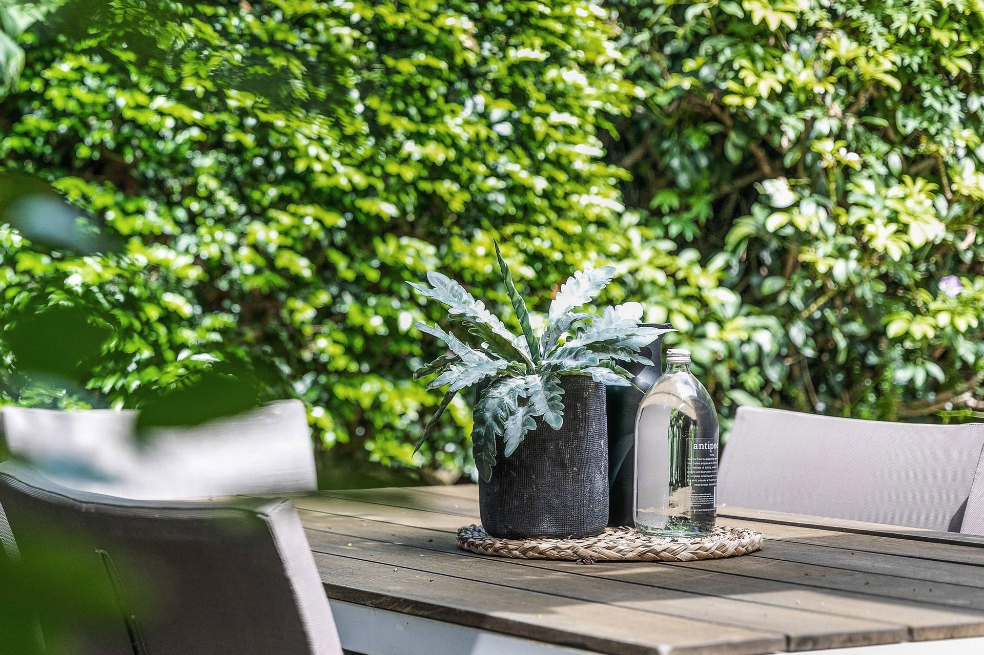 7 Vialoux Avenue, Paddington Sold by Gavan Property - image 1