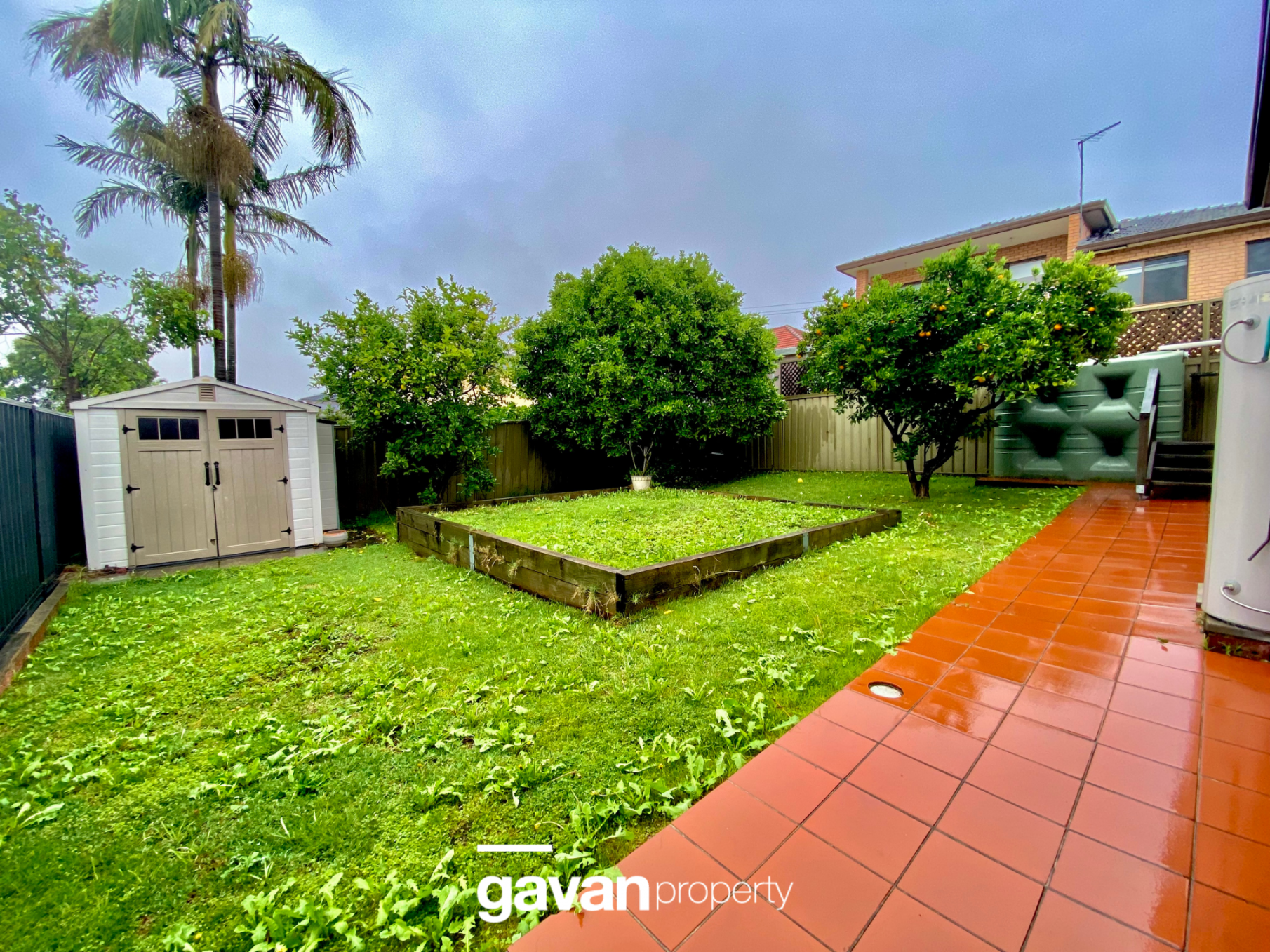 31 Alston Street, Kingsgrove Leased by Gavan Property - image 1