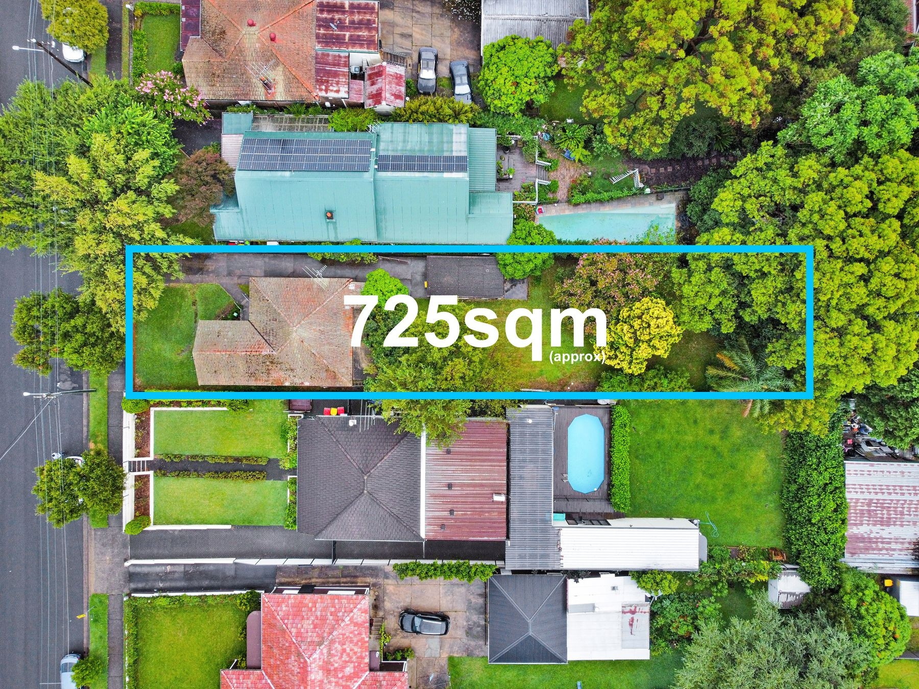 36 Mimosa Street, Bexley Sold by Gavan Property - image 1