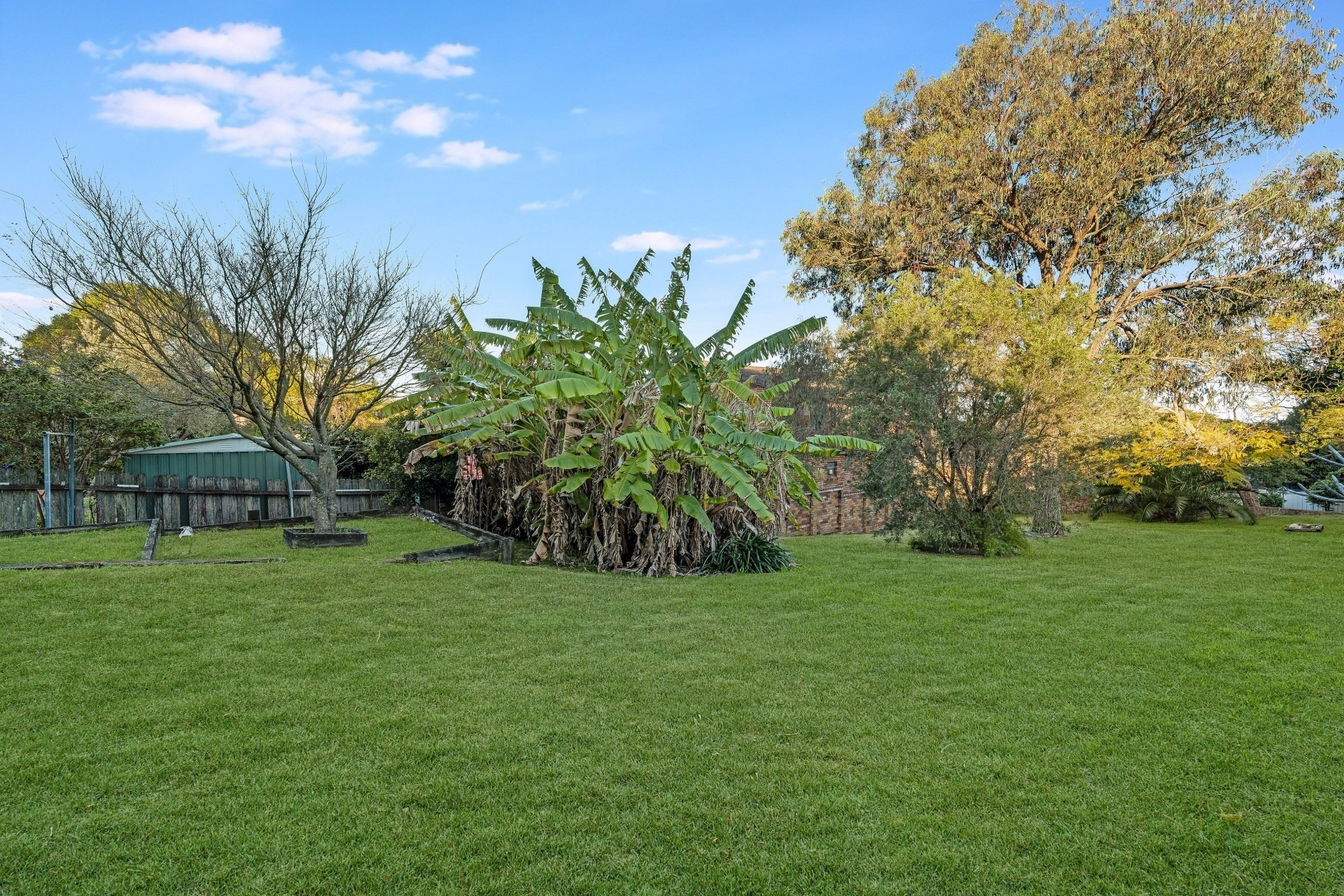20 Denison Street, Penshurst Sold by Gavan Property - image 1
