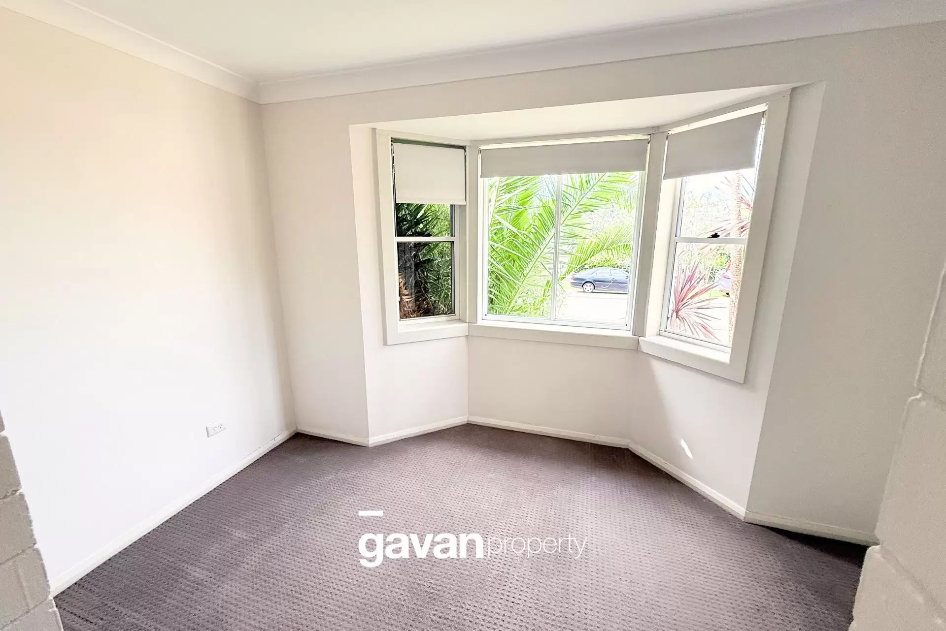 65 Rosa Street, Oatley Leased by Gavan Property - image 1