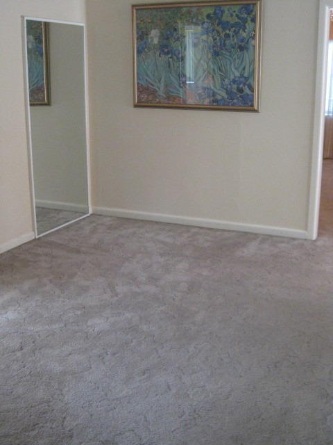 11 Roach Street, Arncliffe Leased by Gavan Property - image 1